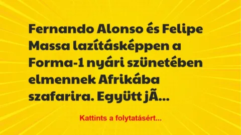 Vicc: Fernando Alonso és Felipe Massa lazításképpen a Forma-1 nyári… Vicc: Fernando Alonso és Felipe Massa lazításképpen a Forma-1 nyári…