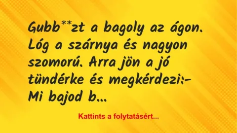 Vicc: Gubb**zt a bagoly az ágon. Lóg a szárnya és nagyon szomorú. Arra jön a jó… Vicc: Gubb**zt a bagoly az ágon. Lóg a szárnya és nagyon szomorú. Arra jön a jó…