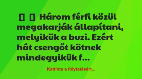 Vicc:
Három férfi közül megakarják állapítani, melyikük a buzi…. Vicc:
Három férfi közül megakarják állapítani, melyikük a buzi….