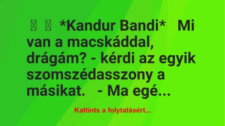 Vicc:
*Kandur Bandi*
Mi van a macskáddal, drágám? – kérdi az egyik… Vicc:
*Kandur Bandi*
Mi van a macskáddal, drágám? – kérdi az egyik…