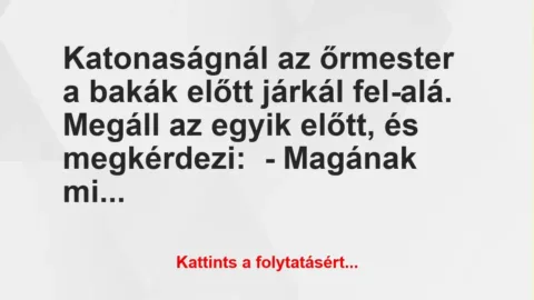 Vicc: Katonaságnál az őrmester a bakák előtt járkál fel-alá.
Megáll az… Vicc: Katonaságnál az őrmester a bakák előtt járkál fel-alá.
Megáll az…