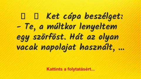 Vicc: 
	    	    Ket cápa beszélget:


– Te, a múltkor lenyeltem egy…