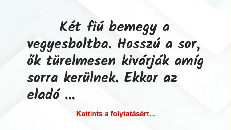 Vicc: Két fiú bemegy a vegyesboltba… Vicc: Két fiú bemegy a vegyesboltba…