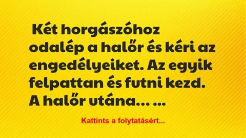 Vicc: Két horgászóhoz odalép a halőr és kéri az engedélyeiket