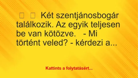 Vicc:
Két szentjánosbogár találkozik. Az egyik teljesen be van… Vicc:
Két szentjánosbogár találkozik. Az egyik teljesen be van…