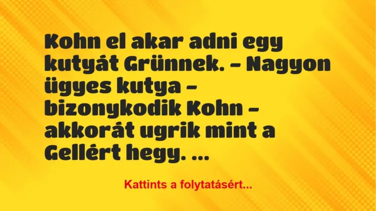 Vicc: Kohn el akar adni egy kutyát Grünnek.
– Nagyon ügyes kutya – bizonykodik… Vicc: Kohn el akar adni egy kutyát Grünnek.
– Nagyon ügyes kutya – bizonykodik…