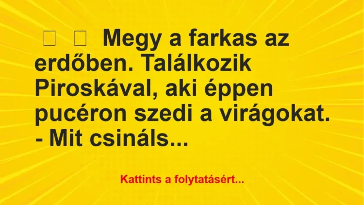 Vicc:
Megy a farkas az erdőben. Találkozik Piroskával, aki éppen pucéron… Vicc:
Megy a farkas az erdőben. Találkozik Piroskával, aki éppen pucéron…