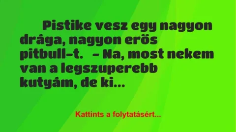 Vicc: 
	    	    Pistike vesz egy nagyon drága, nagyon erős pitbull-t.


– Na,…