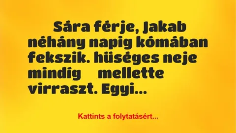 Vicc:
Sára férje, Jakab néhány napig kómában fekszik. hűséges… Vicc:
Sára férje, Jakab néhány napig kómában fekszik. hűséges…