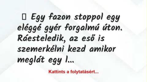 Vicc: Stoppos élmény Vicc: Stoppos élmény