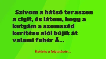 Vicc: Szívom a hátsó teraszon a cigit Vicc: Szívom a hátsó teraszon a cigit