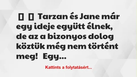 Vicc:
Tarzan és Jane már egy ideje együtt élnek, de az a bizonyos… Vicc:
Tarzan és Jane már egy ideje együtt élnek, de az a bizonyos…