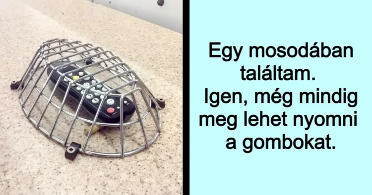 15 ember, akik nem hagyják, hogy bármi elrontsa a kedvüket 15 kreatív nyerészkedő, akiket a problémák nem ijesztenek meg