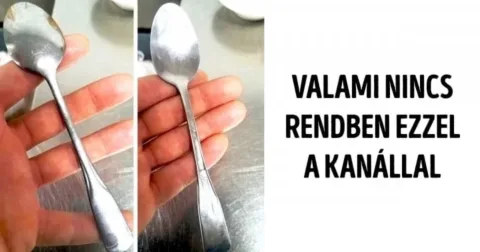 21 felvétel, mely bebizonyítja, hogy egyesek bármiben képesek kudarcot vallani 21 összevisszaság, melyek megkérdőjelezik az emberi észjárást