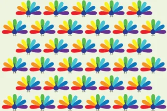 Csak az emberiség fél százaléka képes megoldani ezt a pávás feladványt