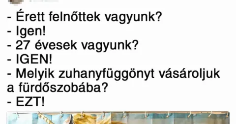Vicc: 16 ember, aki az életben mindent megfelelő öniróniával kezel