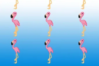 Jól működik az agyad, ha meg tudod mondani, hány flamingót Jól működik az agyad, ha meg tudod mondani, hány flamingót látsz a képen