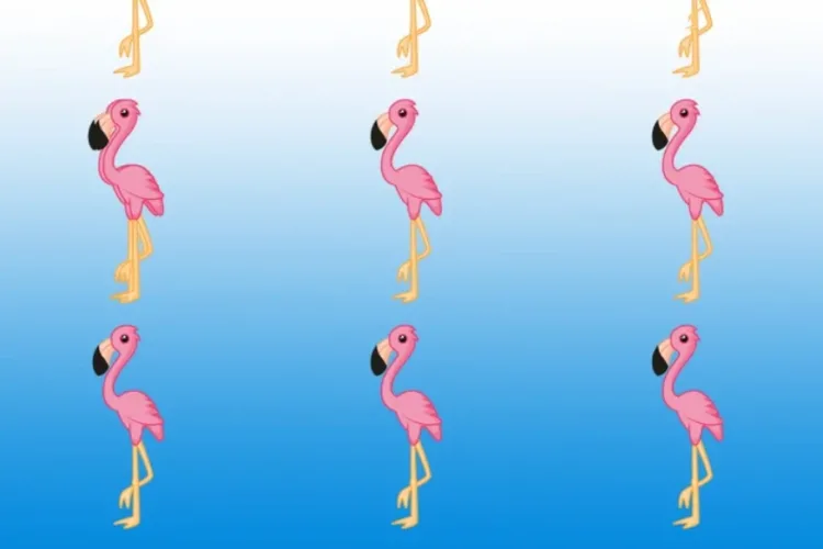 Jól működik az agyad, ha meg tudod mondani, hány flamingót Jól működik az agyad, ha meg tudod mondani, hány flamingót látsz a képen