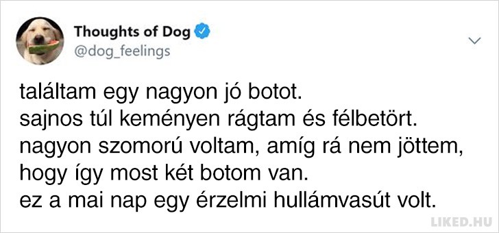 Kutyagondolat 1.