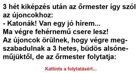 Vicc: 3 hét kiképzés után az őrmester így szól az Vicc: 3 hét kiképzés után az őrmester így szól az újoncokhoz