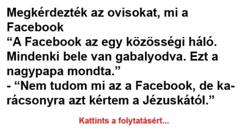 Vicc: A Fészbúk az egy közösségi háló. Mindenki bele van