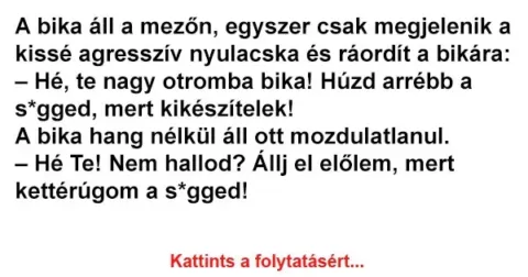 Vicc: A bika áll a mezőn, egyszercsak megjelenik a kissé Vicc: A bika áll a mezőn, egyszercsak megjelenik a kissé agresszív nyulacska…