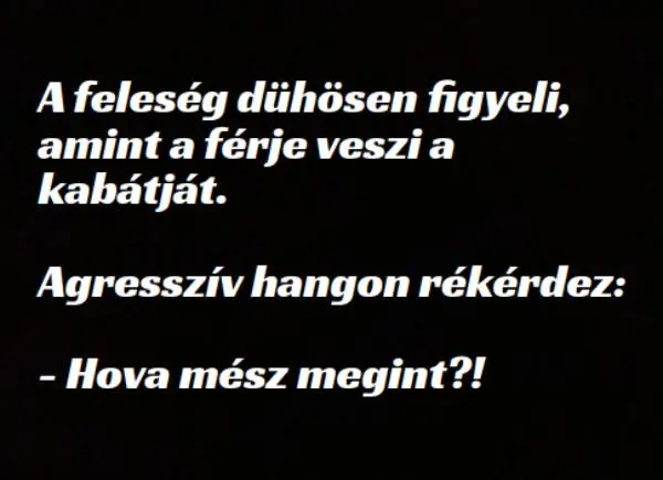 Vicc: A feleség dühösen figyeli, amint a férje veszi a Vicc: A feleség dühösen figyeli, amint a férje veszi a kabátját.