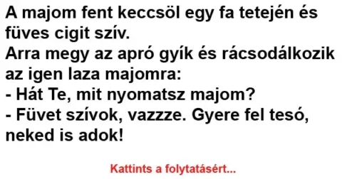 Vicc: A majom fent keccsöl egy fa tetején