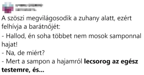 Vicc: A szöszi megvilágosodik a zuhany alatt