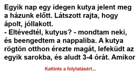 Vicc: Egyik nap egy idegen kutya jelent meg a házunk Vicc: Egyik nap egy idegen kutya jelent meg a házunk előtt