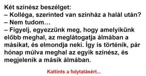 Vicc: Két színész beszélget