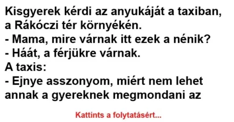 Vicc: Kisgyerek kérdi az anyukáját a taxiban