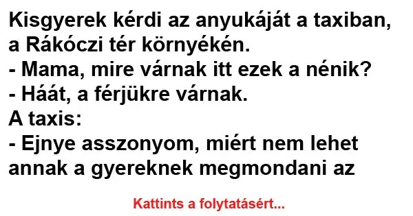Vicc: Kisgyerek kérdi az anyukáját a taxiban Vicc: Kisgyerek kérdi az anyukáját a taxiban