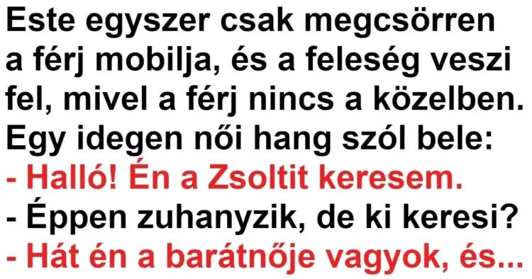 Vicc: Megcsörrent a férj telefonja, de a felesége vette fel Vicc: Megcsörrent a férj telefonja, de a felesége vette fel