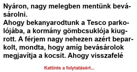 Vicc: Nyáron, nagy melegben mentünk bevásárolni Vicc: Nyáron, nagy melegben mentünk bevásárolni