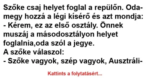 Vicc: Szőke csaj helyet foglal a repülőn Vicc: Szőke csaj helyet foglal a repülőn