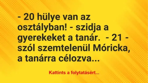 Vicc: – 20 hülye van az osztályban! – szidja a gyerekeket a tanár.
– 21… Vicc: – 20 hülye van az osztályban! – szidja a gyerekeket a tanár.
– 21…