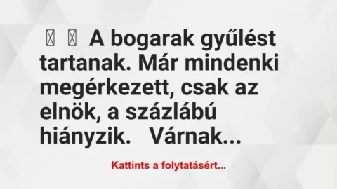 Vicc:
A bogarak gyűlést tartanak. Már mindenki megérkezett, csak … Vicc:
A bogarak gyűlést tartanak. Már mindenki megérkezett, csak …