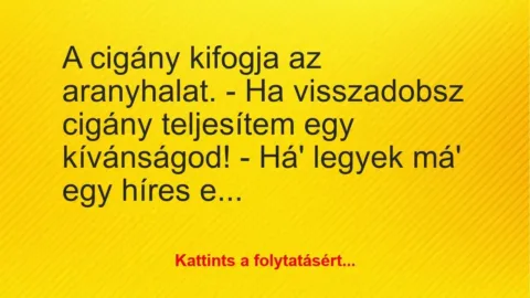 Vicc: A cigány kifogja az aranyhalat. 

– Ha visszadobsz cigány…