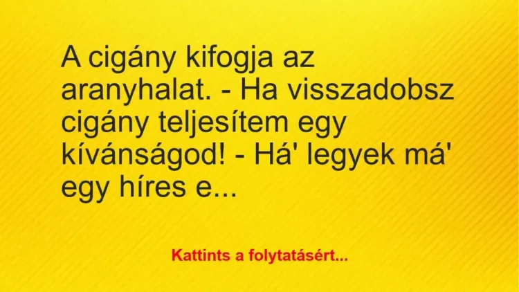 Vicc: A cigány kifogja az aranyhalat.
– Ha visszadobsz cigány… Vicc: A cigány kifogja az aranyhalat.
– Ha visszadobsz cigány…