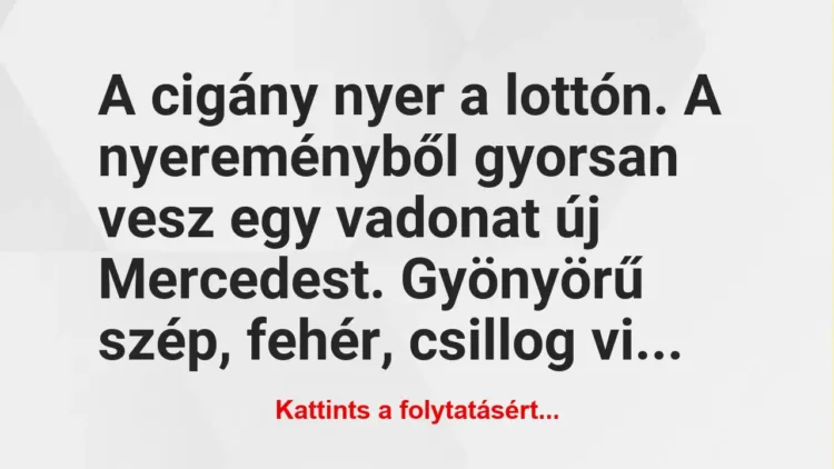 Vicc: A cigány nyer a lottón. A nyereményből gyorsan vesz egy vadonat új… Vicc: A cigány nyer a lottón. A nyereményből gyorsan vesz egy vadonat új…