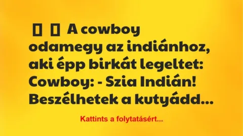 Vicc: 
	    	    A cowboy odamegy az indiánhoz, aki épp birkát…