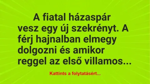 Vicc: A fiatal házaspár vesz egy új szekrényt Vicc: A fiatal házaspár vesz egy új szekrényt