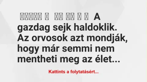 Vicc: A gazdag sejk haldoklik, csak egy vérátömlesztés mentheti meg Vicc: A gazdag sejk haldoklik, csak egy vérátömlesztés mentheti meg