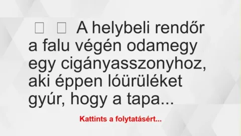 Vicc: 
	    	    A helybeli rendőr a falu végén odamegy egy…