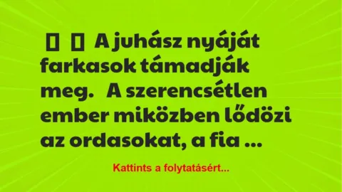 Vicc: 
	    	    A juhász nyáját farkasok támadják meg.


A…