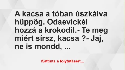 Vicc: A  kacsa a tóban úszkálva hüppög. Odaevickél hozzá a krokodil.

– …