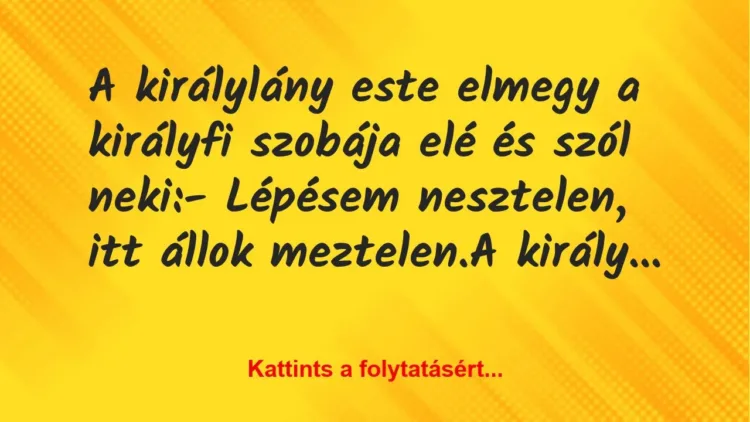 Vicc: A királylány este elmegy a királyfi szobája elé és szól neki:
-… Vicc: A királylány este elmegy a királyfi szobája elé és szól neki:
-…