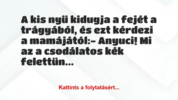 Vicc: A kis nyű kidugja a fejét a trágyából, és ezt kérdezi a… Vicc: A kis nyű kidugja a fejét a trágyából, és ezt kérdezi a…