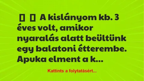 Vicc:
A kislányom kb. 3 éves volt, amikor nyaralás alatt beültünk… Vicc:
A kislányom kb. 3 éves volt, amikor nyaralás alatt beültünk…